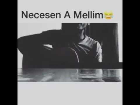 Necesen a müellim 2018 teze