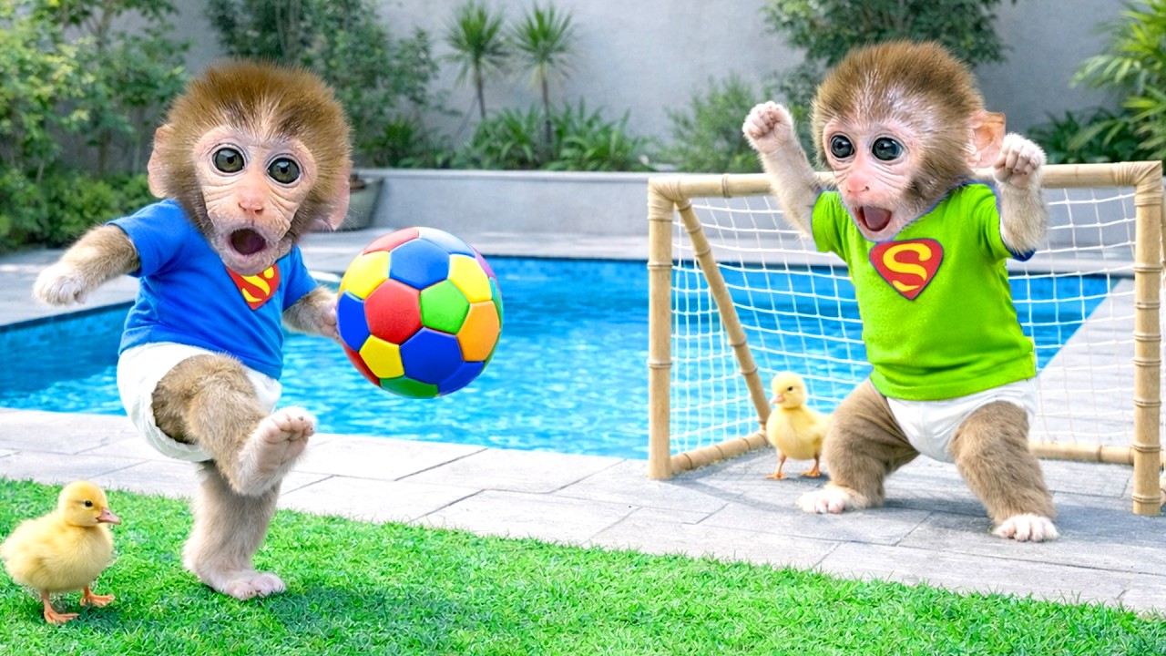 Das kleine Äffchen BonBon und sein Bruder spielen Fußball im Hinterhof