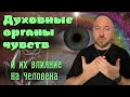 Духовные органы чувств и их влияние на жизнь человека