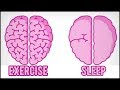 How Exercise Affects Your Brain