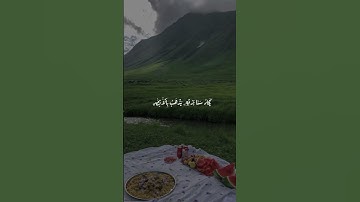 تلاوه من سورة النور القارئ#عبدالله_الموسى #قصص_اسلامية #القرآن_الكريم #المصحف #اكسبلور #الرحمن