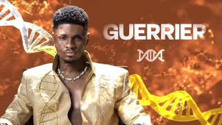 Gally ft Fally Ipupa _-_GUERRIER_-_ ( Audio visualiser  )