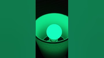 Lepro B1 LED AI Bulb