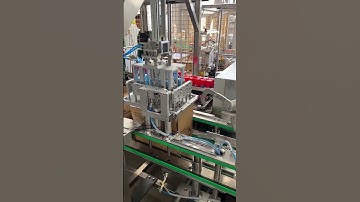 Case Packing Machines for Bottles , Full Automatic Case Packer
