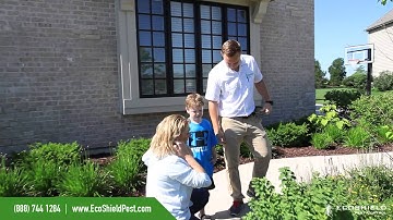 EcoShield Pest Control | Customer Testimonials Montage 2014