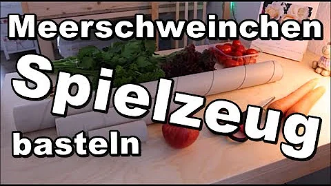 Was brauchen Meerschweinchen an Spielzeug?