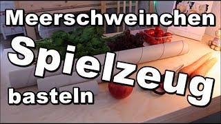 Meerschweinchenspielzeug basteln