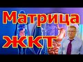 Матрица ЖКТ Исцелении и Коррекция работы.