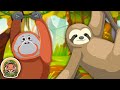 Learn about endangered animals  animal songs for kids  klt wild