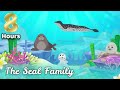Beginning of video