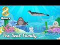 Bedtime sleep story for kids  8 hours the seal family  sleep meditation for children