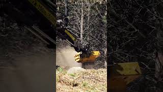 Tigercat LX825 Convertible Mulcher