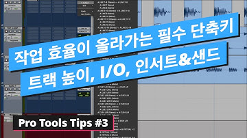 트랙 높이, 트랙 입출력, 인서트 & 샌드 바이패스 / Track Height & Track I/O & Bypass / 프로툴 팁 #3 / Pro Tools Tips #3
