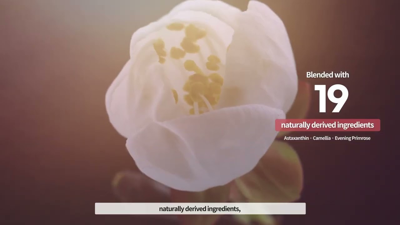 weMedi-Balm | Patent-Based Derma & Family Care Brand Introduction