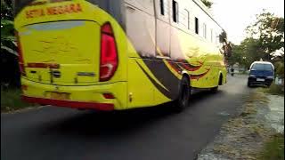 telolet basuri stroberi mangga apel remix bus triton