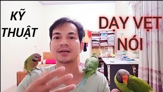 Dạy vẹt nói và kinh nghiệm. Video hướng dẫn tỉ mỉ nhất  từ A đến Z.