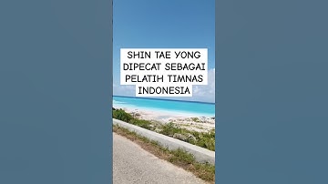 Shin Tae Yong dipecat sebagai pelatih timnas Indonesia.