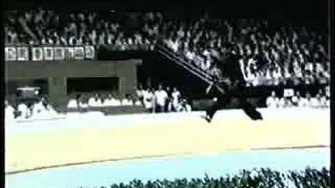 Xingyiquan Champion Liang Changxing