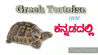 Difference between Tortoise and turtle in Kannada