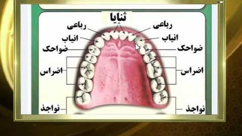 آموزش روخوانی قرآن کریم  - 39 (روخوانی آیات 191 الی 196 سوره مبارکه بقره)13-11-2015