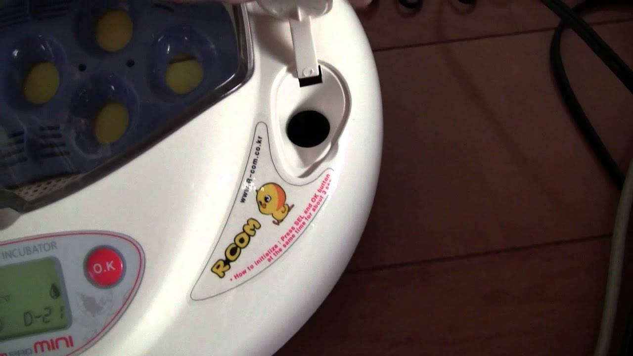 リトルママ小型自動孵化器(孵卵機)を買ってみた - YouTube
