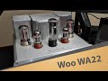 Woo wa22 review  stop worrying and love the tube