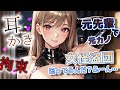【耳かき/拘束】美人な元先輩で元カノで…女怪盗団？