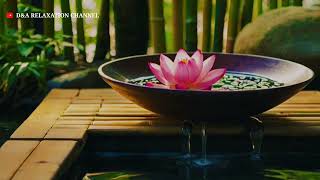 Meditative Water Sounds and Soft Music for Complete Relaxation screenshot 5