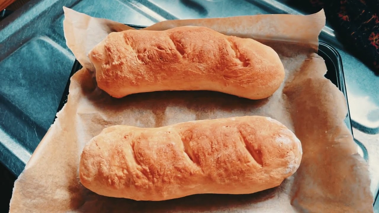 雪との戦いが終わった！？　Vol.237