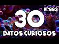 30 DATOS CURIOSOS y COSAS QUE NO SABÍAS ⏰😲 993 #curiomaníatv