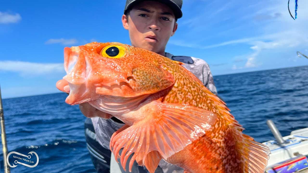 FILLING THE COOLER WITH BLACK BELLIED ROSE FISH OUT OF HILLSBORO INLET