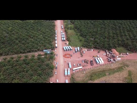 JUSTIÇA MANDA EMPRESA DO GRUPO VALE DESOCUPAR ÁREA DE PRODUÇÃO EM TOMÉ-AÇU. SEGUE A MANIFESTAÇÃO.