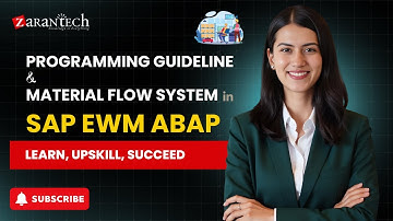 Programming Guideline and Material Flow System in SAP EWM ABAP | ZaranTech