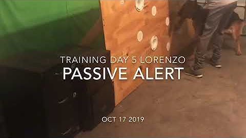 Passive Alert Detection Training