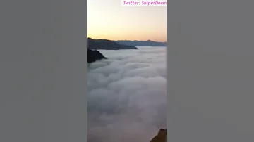 عاشقه و غلبانه بصوتي 