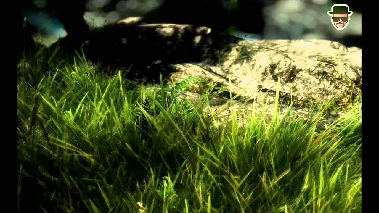 grass skyrim mod performance low end pc grass skyrim mod performance low end pc