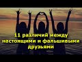 11 различий между настоящими и фальшивыми друзьями