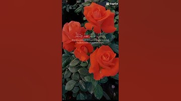 اجب ان كنت تعرف الجابه ( ماهي السورة التي تحتوي على سجدتين) #اسئله_دينية