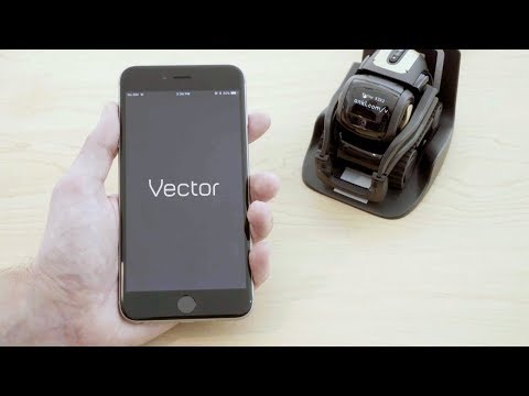 Vector | Onboarding Series | Getting Started