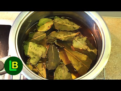 Boil bay leaves, drink liquid, get rid of coughs and many diseases