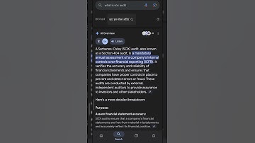 what is a SOX audit? 🤔 #audit #video #soxaudit