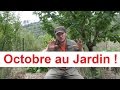 Que faire au jardin en Octobre ?