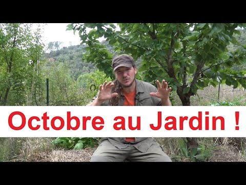 Vidéo: Octobre - Travail Dans Le Jardin Et Dans Le Jardin