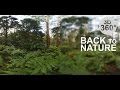 Back to Nature 3 - Rainforest (Stereoscopic 360° VR Video)