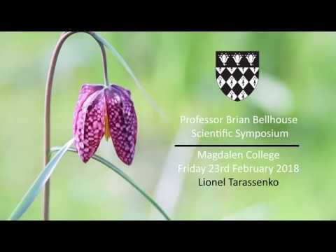 Professor Brian Bellhouse