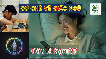 Vì sao bạn khó ngủ Hé lộ cơ chế giấc ngủ từ Đông y và Tây y
