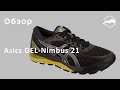 Кроссовки Asics GEL-Nimbus 21. Обзор