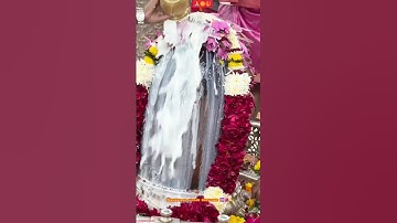 Mahadev rudra abhishek shivji trending status 🌺 Bholenath status 🕉️ #mahadev #mahakal #shiv #ujjain