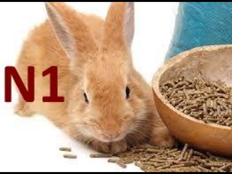 რომელია ამ ეტაპზე ყველაზე კარგი გრანული....