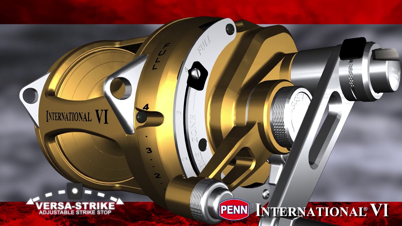Penn International VI Conventional Fishing Reel, Size: 30VIW, Gold